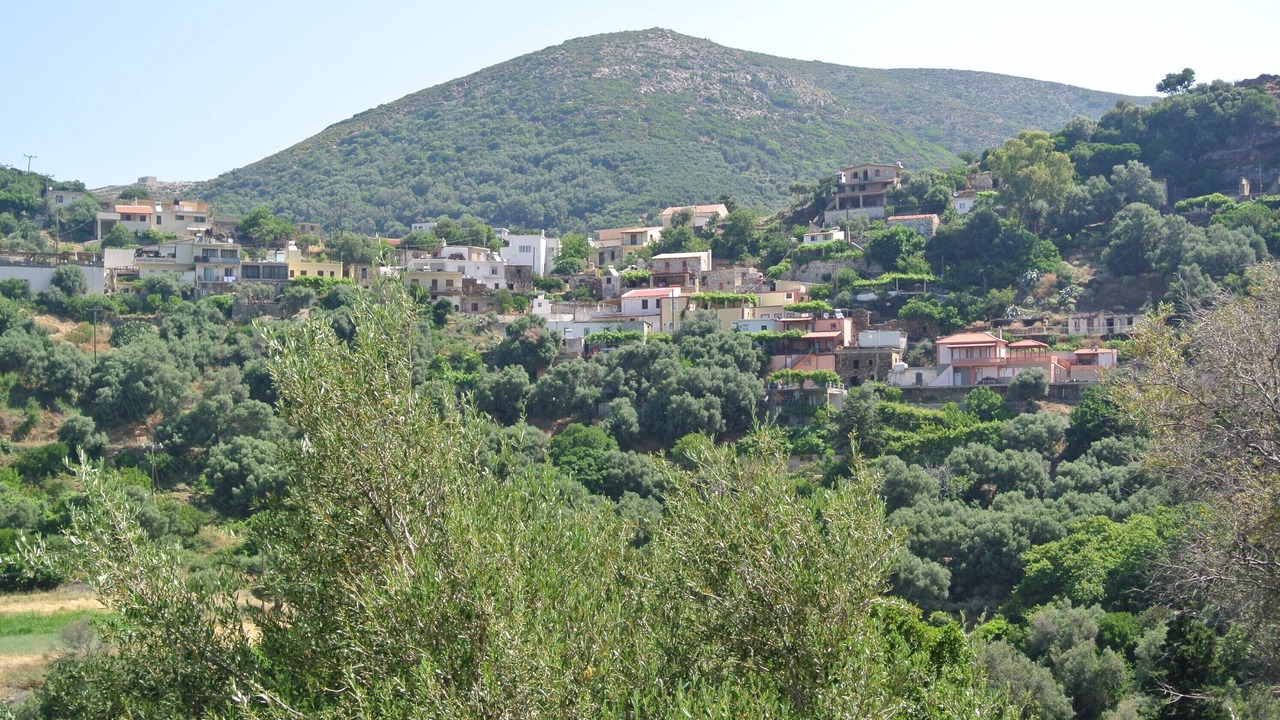 Photo of Others in Livadia