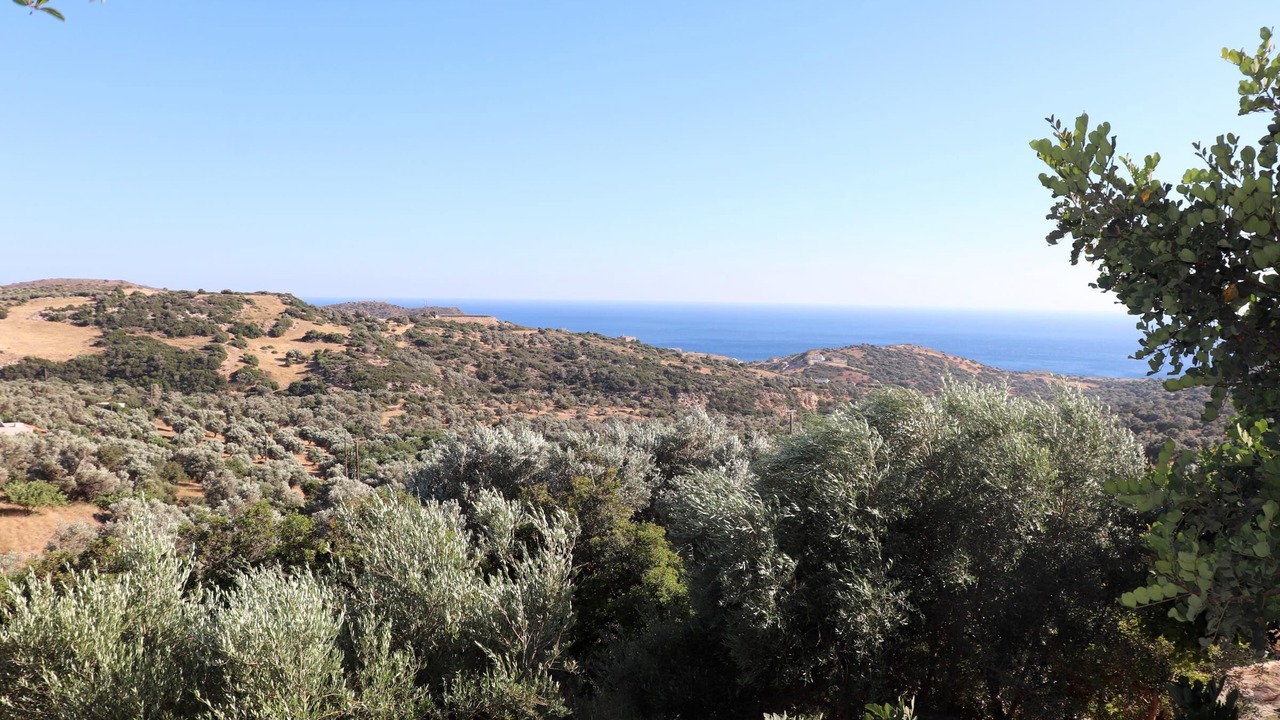 Photo of Others in Triopetra