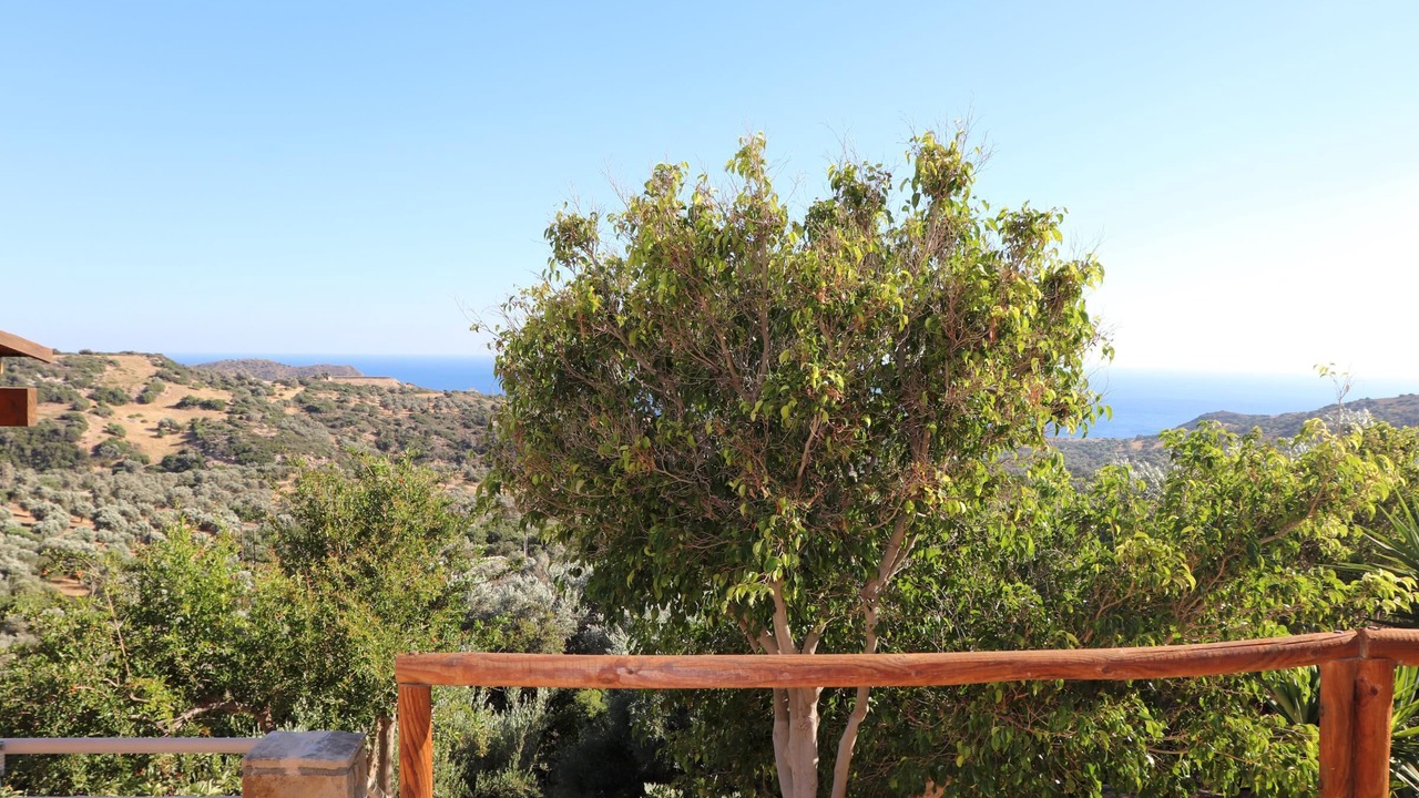 Photo of Others in Triopetra