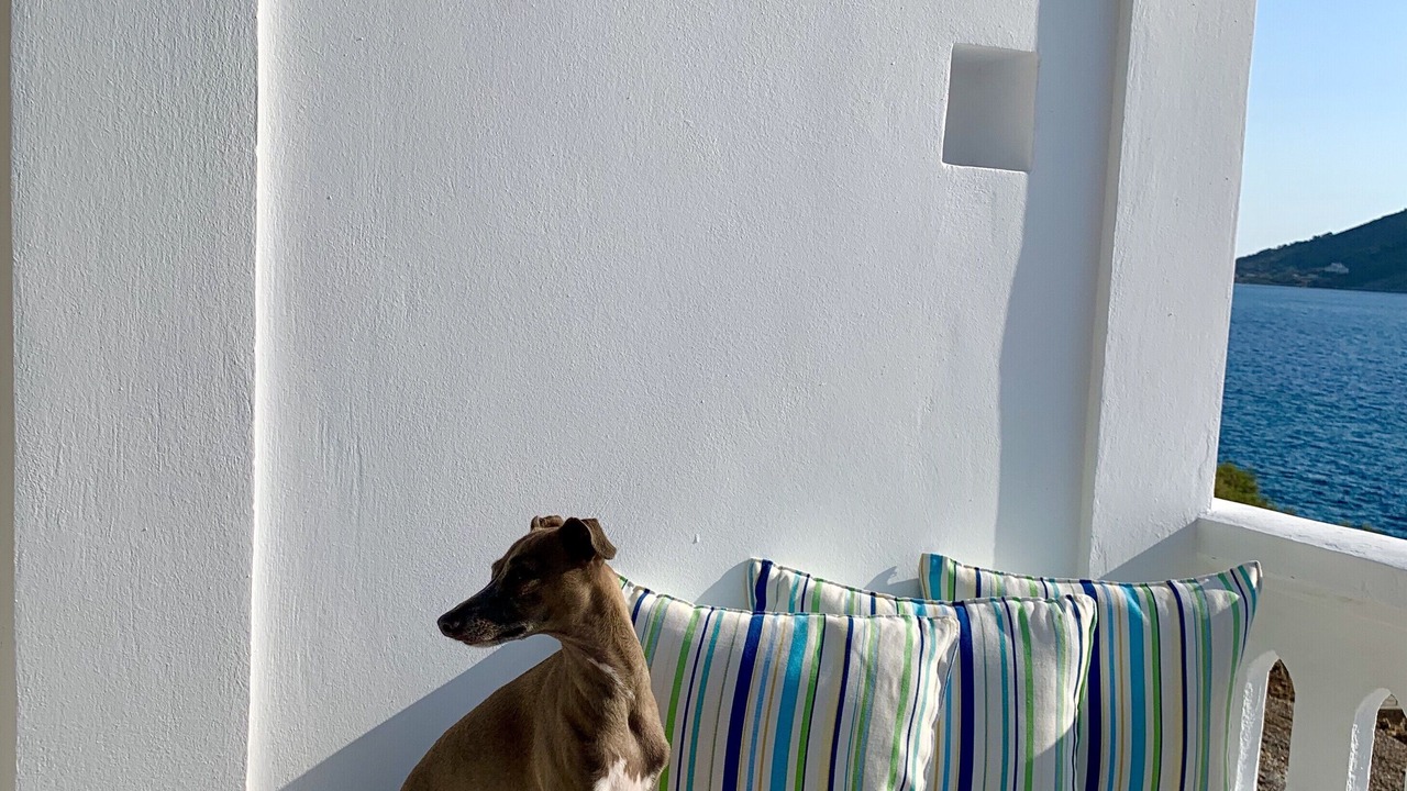 Photo of Outdoor in Kalymnos