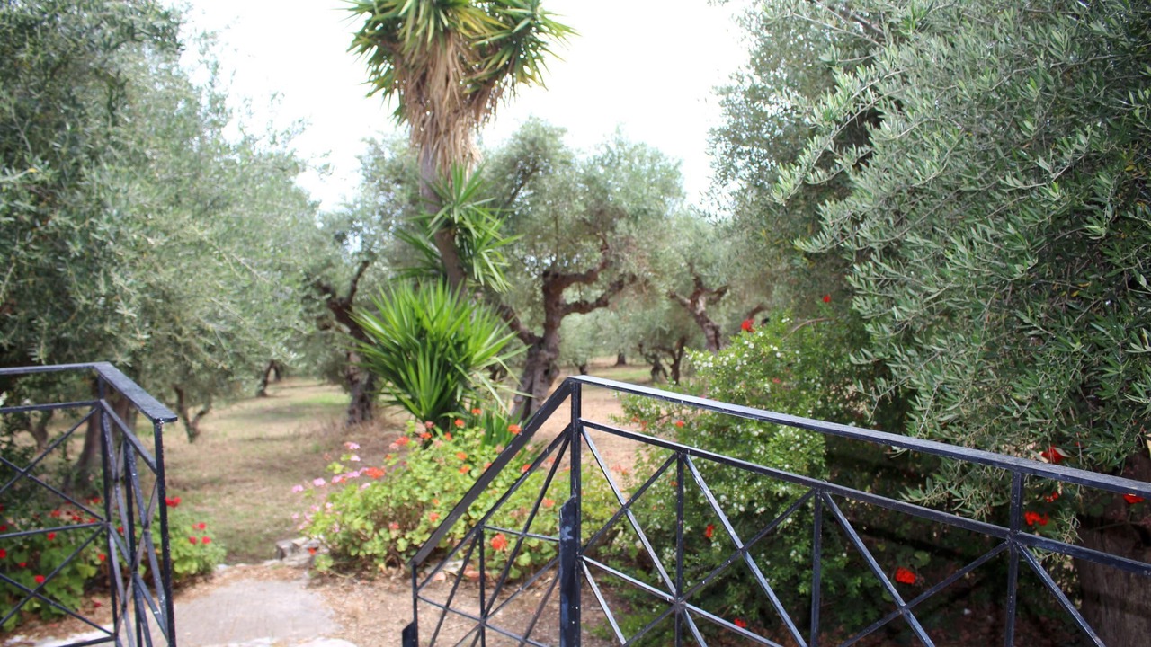 Photo of Outdoor in Kompi