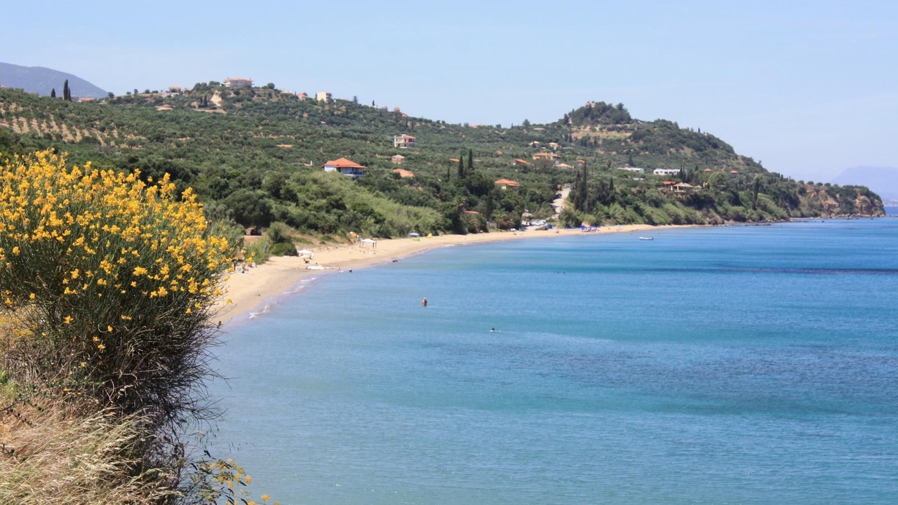 Photo of Others in Kompi