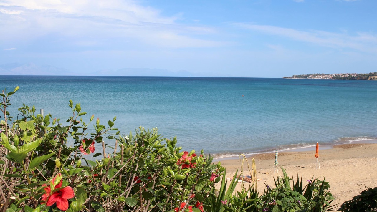 Photo of Others in Kompi