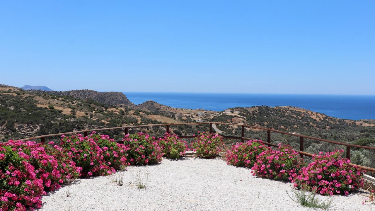 Photo of Others in Triopetra