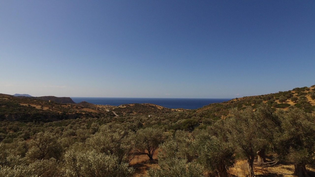 Photo of Others in Triopetra