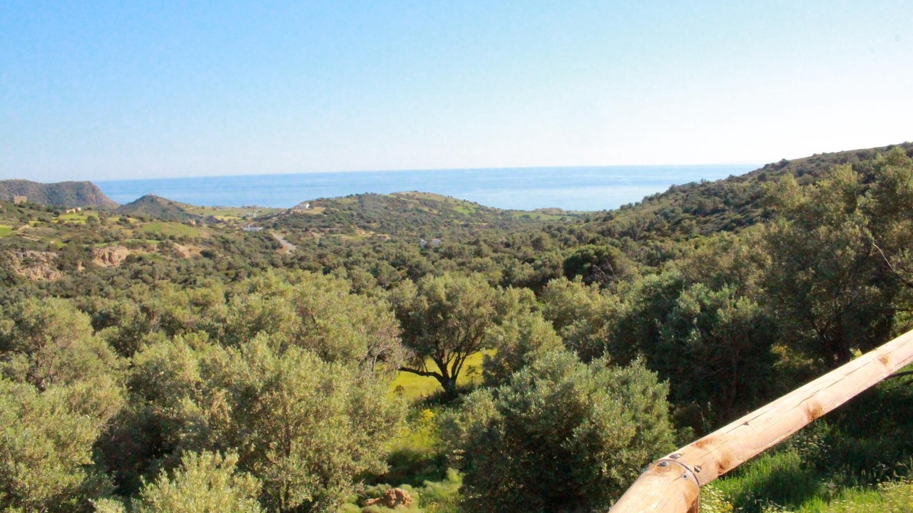 Photo of Others in Triopetra