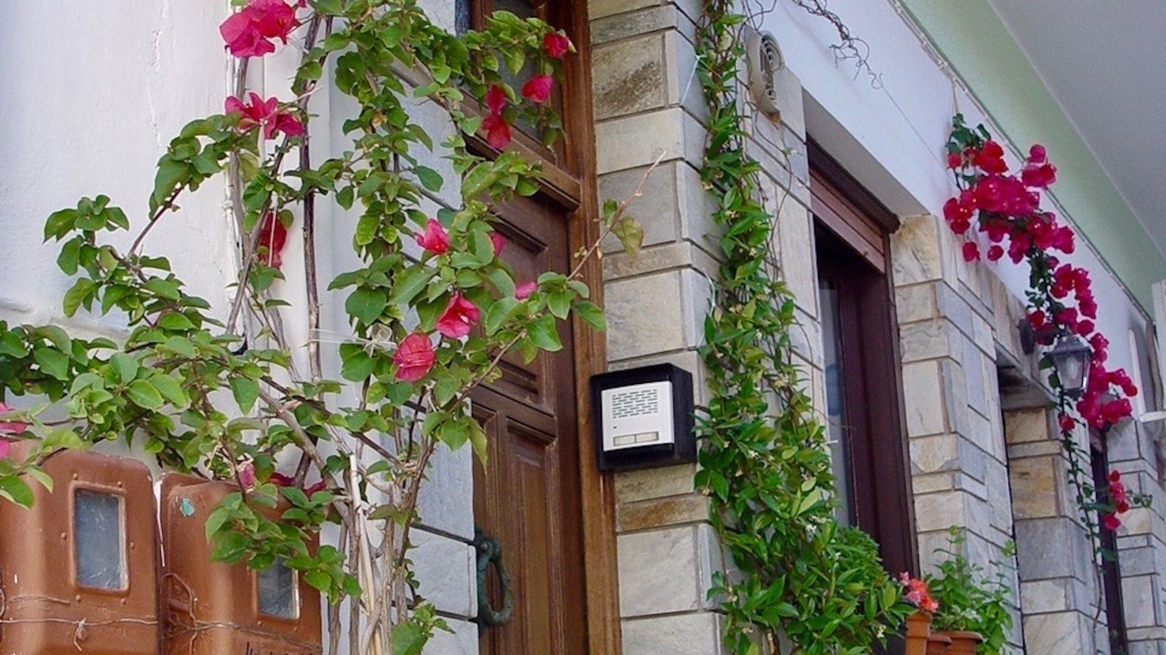 Photo of Outdoor in Skopelos