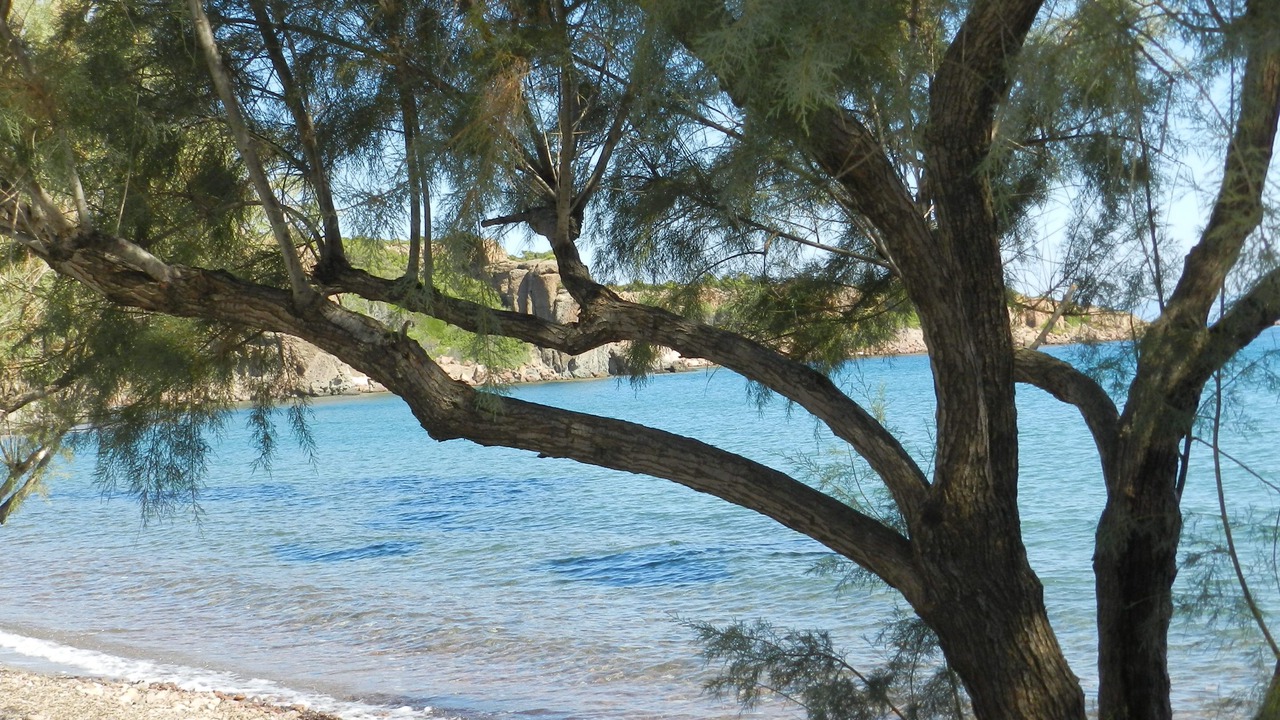 Photo of Others in Skala Neon Kidonion