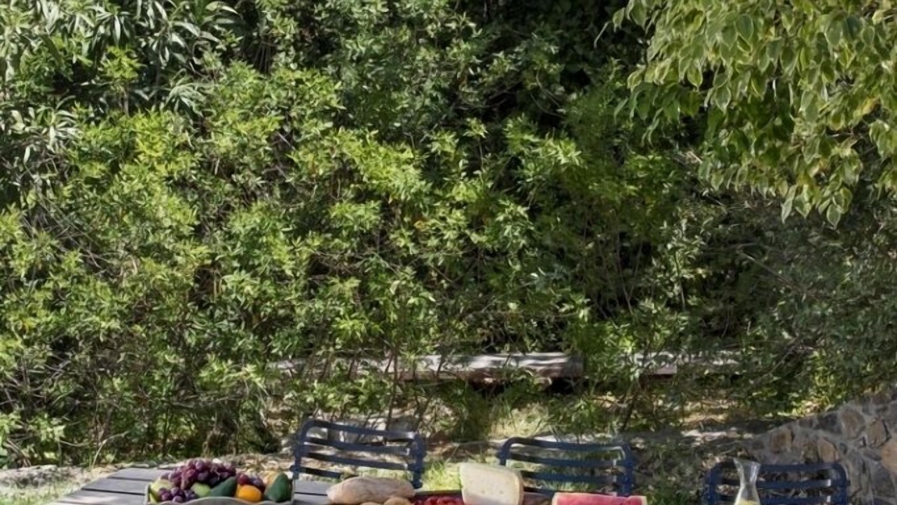Photo of Outdoor in Livadia