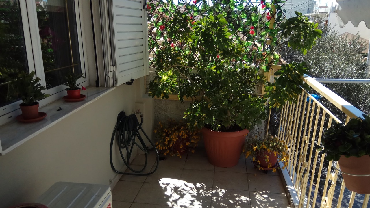 Photo of Outdoor in Markopoulon