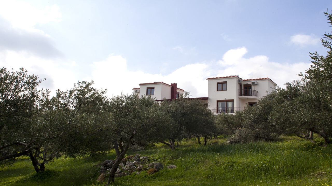 Photo of Outdoor in Kounavi