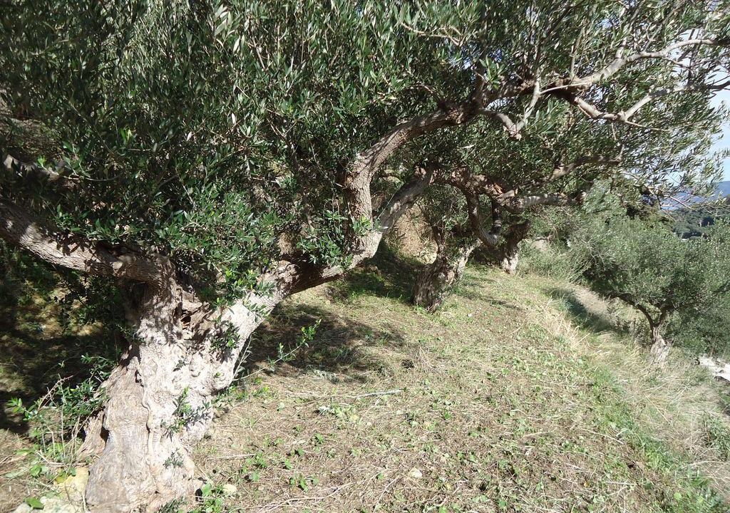 Photo of Others in Kissamos