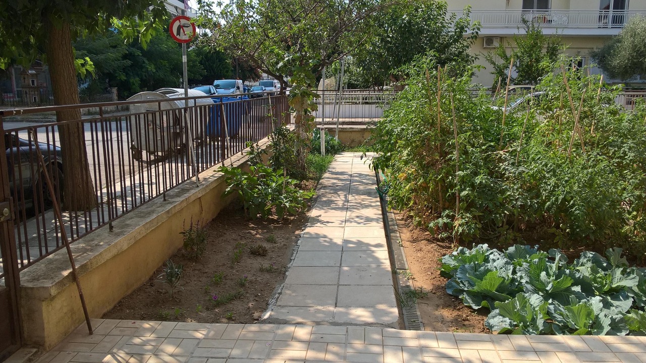 Photo of Others in Alexandroupoli