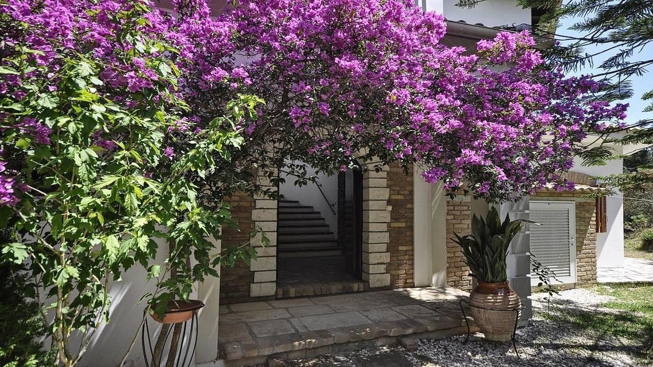 Photo of Outdoor in Perama