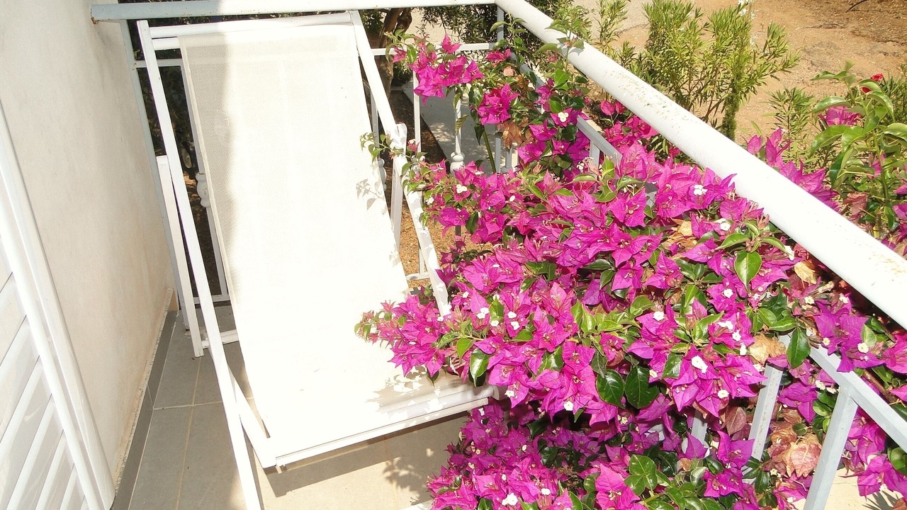 Photo of Patio Balcony in Lepreo