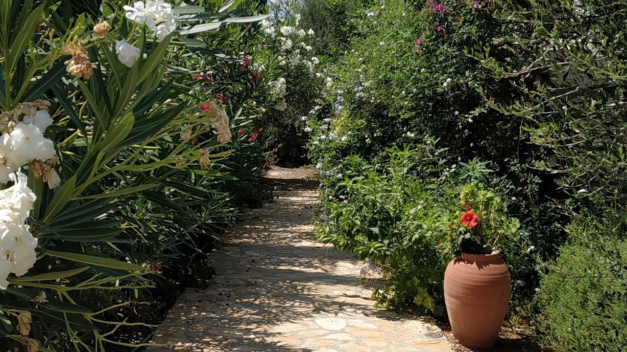 Photo of Outdoor in Lepreo