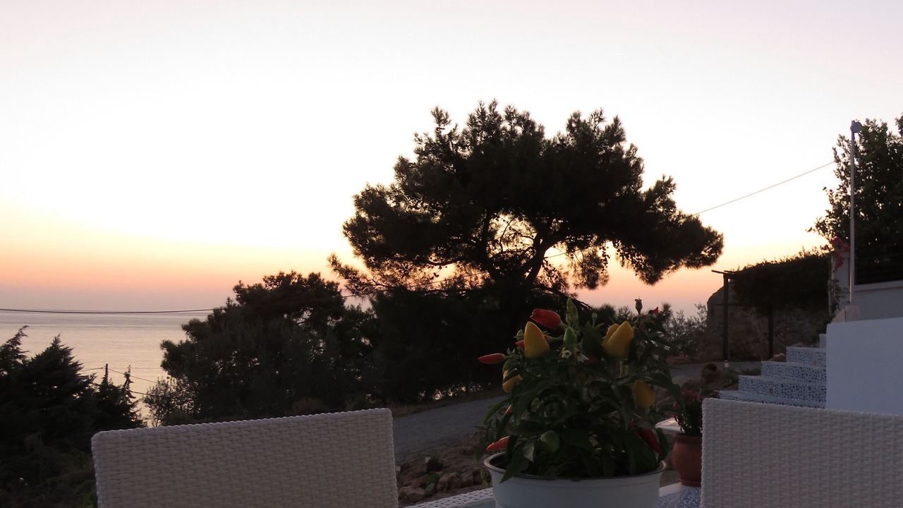 Photo of Patio Balcony in Stegna
