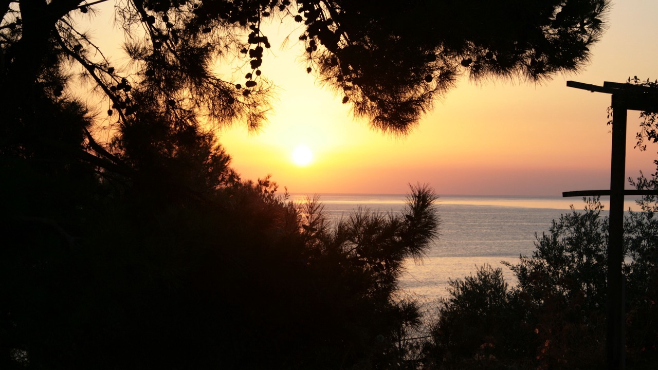 Photo of Others in Stegna