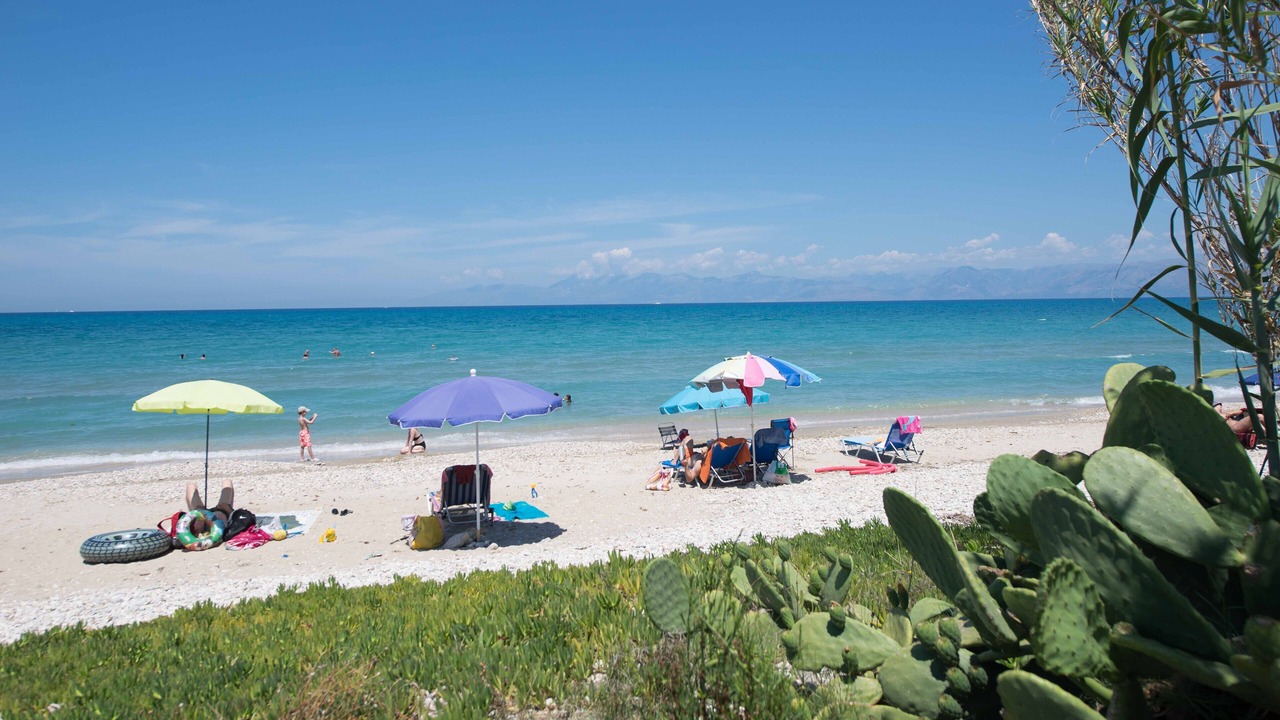 Photo of Others in Acharavi