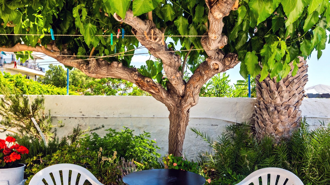 Photo of Patio Balcony in Kampos