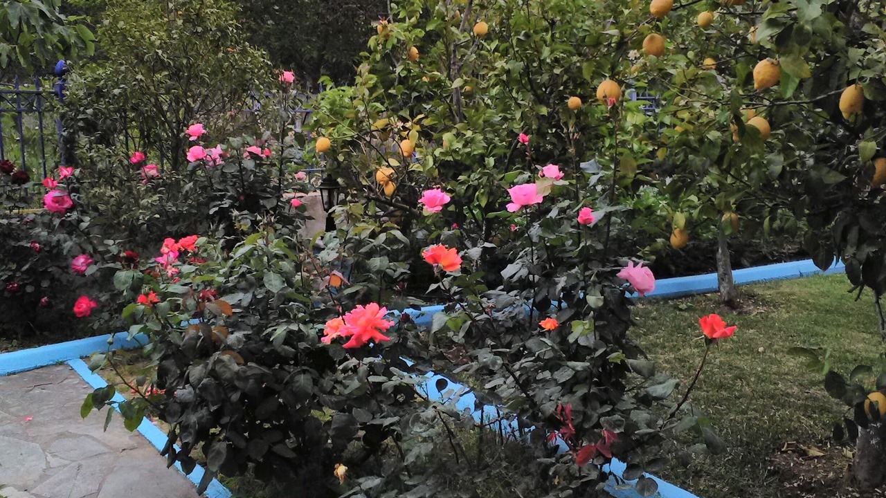 Photo of Outdoor in Zalongo