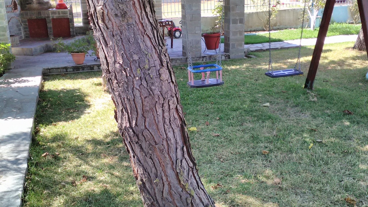 Photo of Outdoor in Zalongo