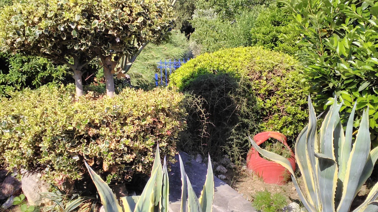 Photo of Outdoor in Zalongo