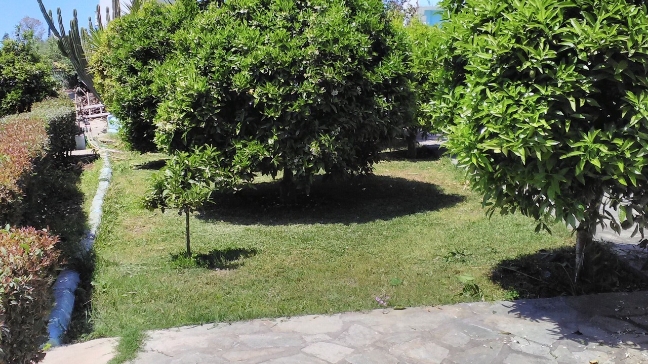 Photo of Outdoor in Zalongo