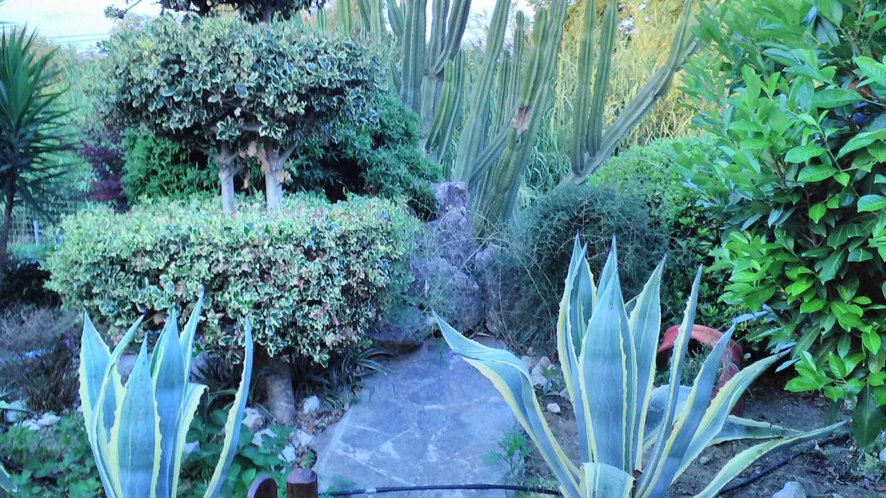 Photo of Outdoor in Zalongo