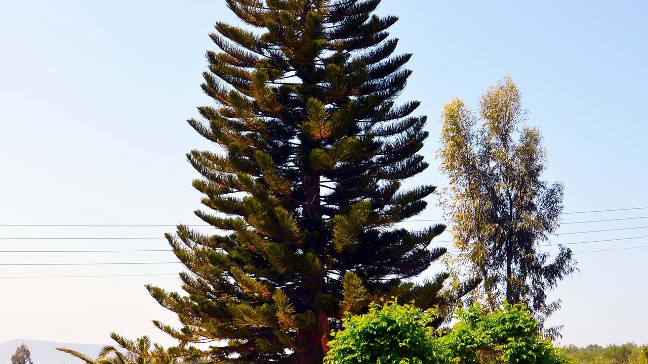 Photo of Outdoor in Pylos-Nestoras