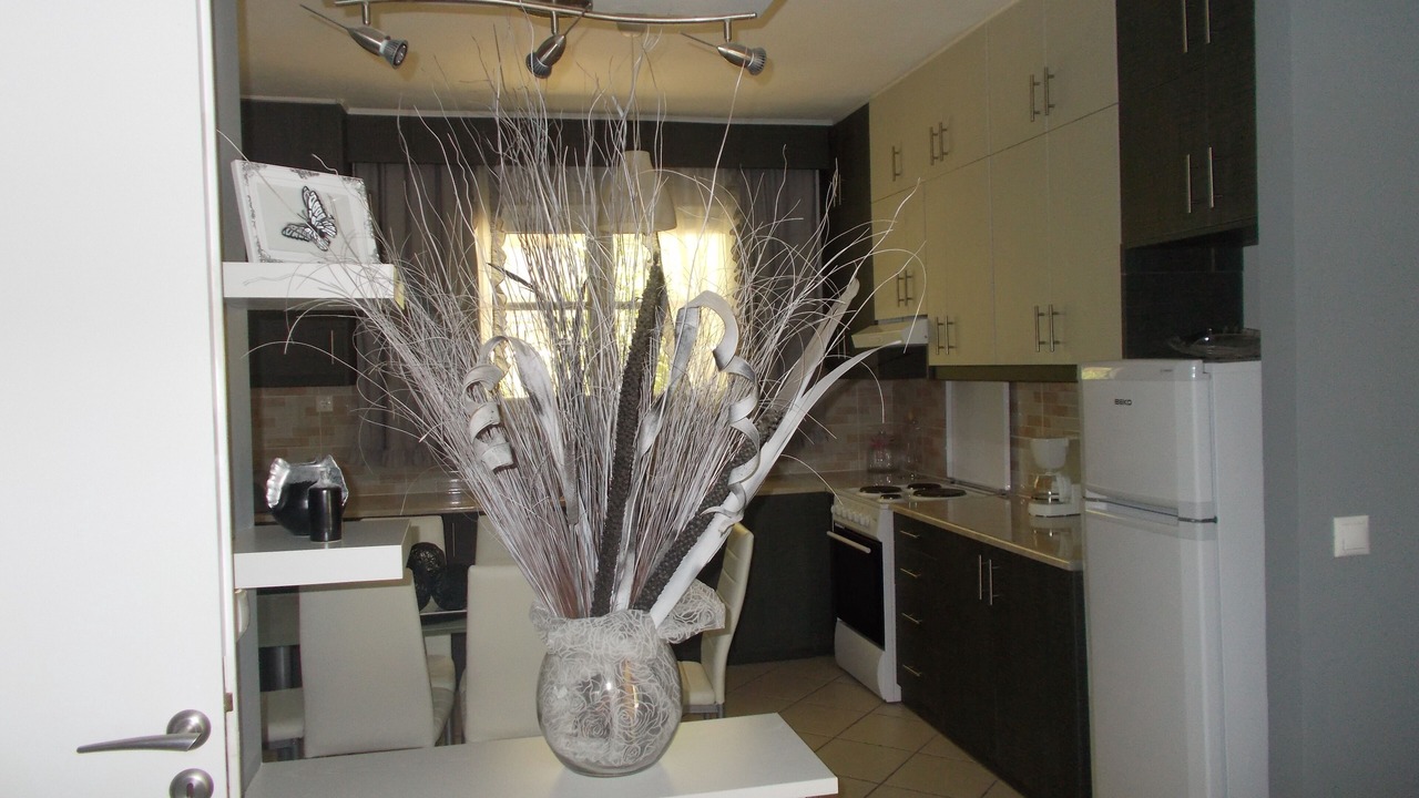 Photo of Kitchen in Apolpaina