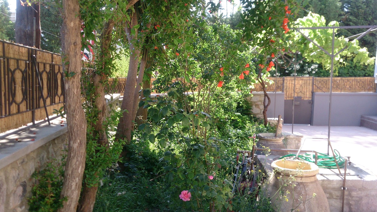 Photo of Outdoor in Lesvos