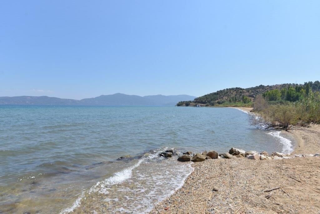 Photo of Others in Lesvos
