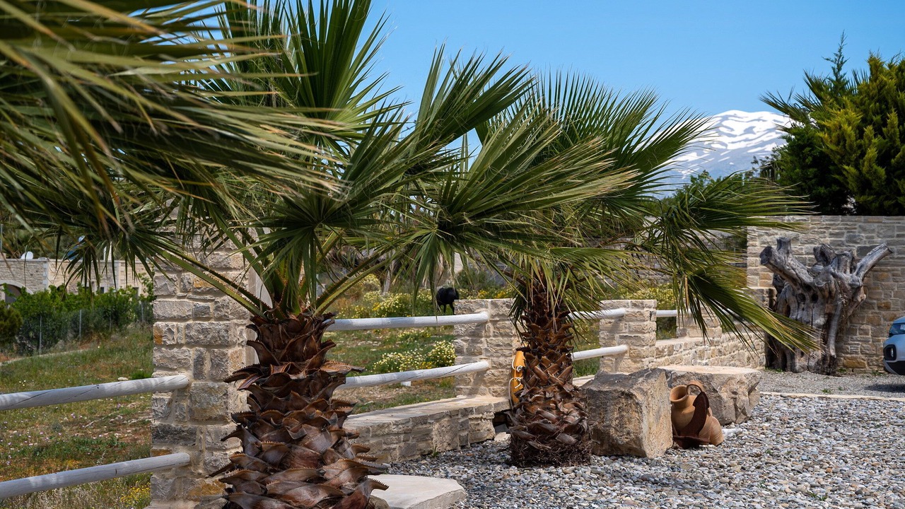 Photo of Outdoor in Kamilari