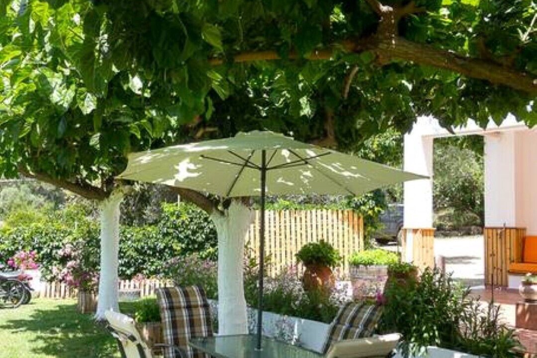 Photo of Outdoor in Dhris