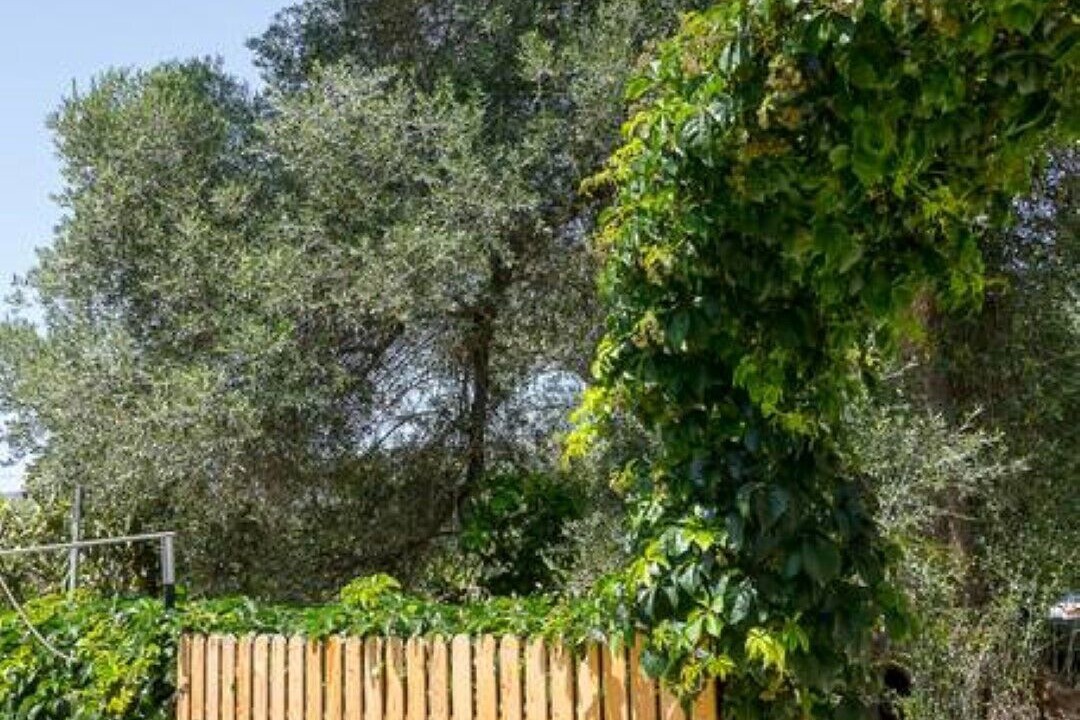 Photo of Outdoor in Dhris