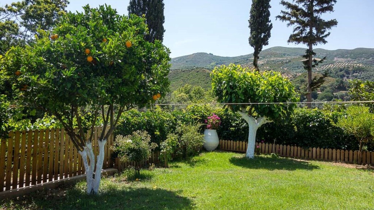 Photo of Outdoor in Dhris