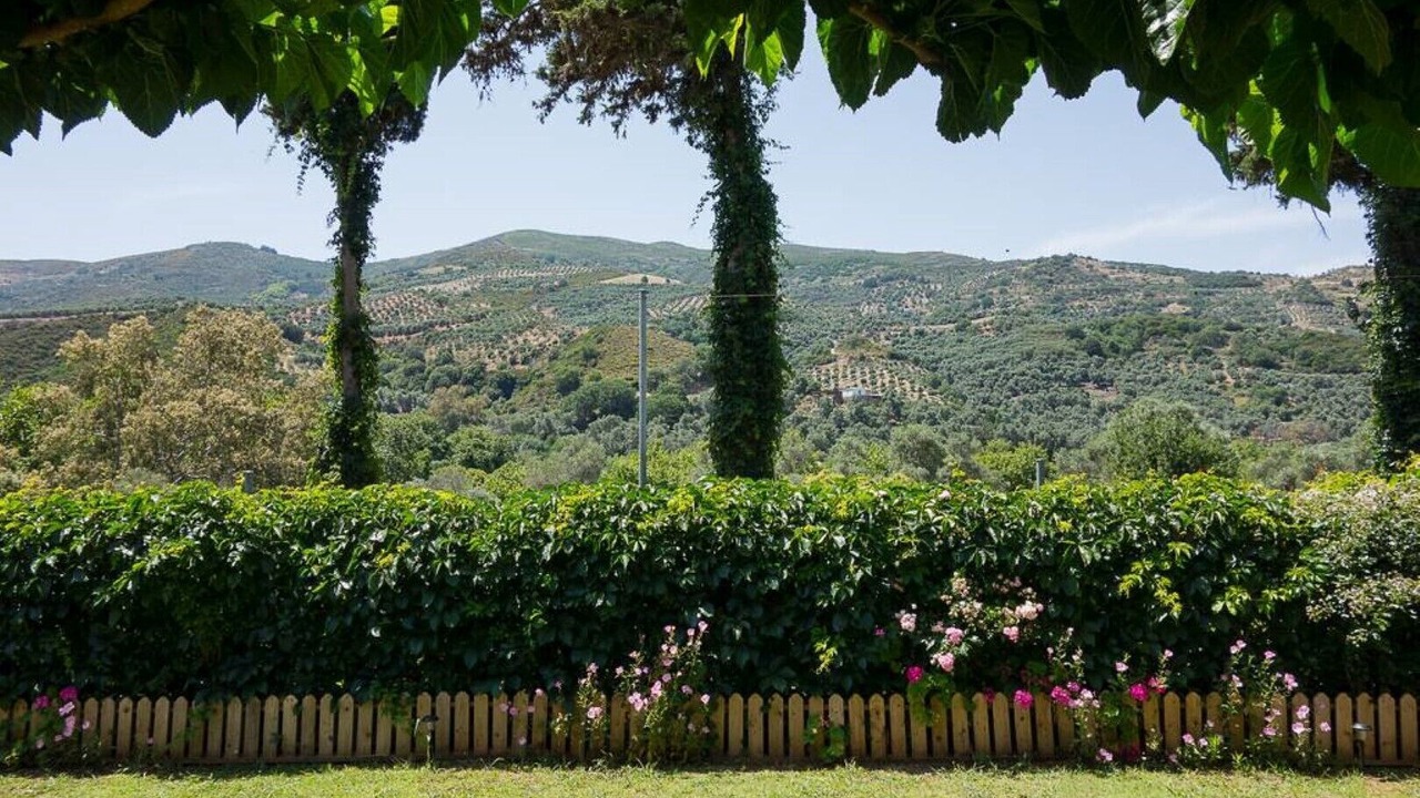 Photo of Outdoor in Dhris