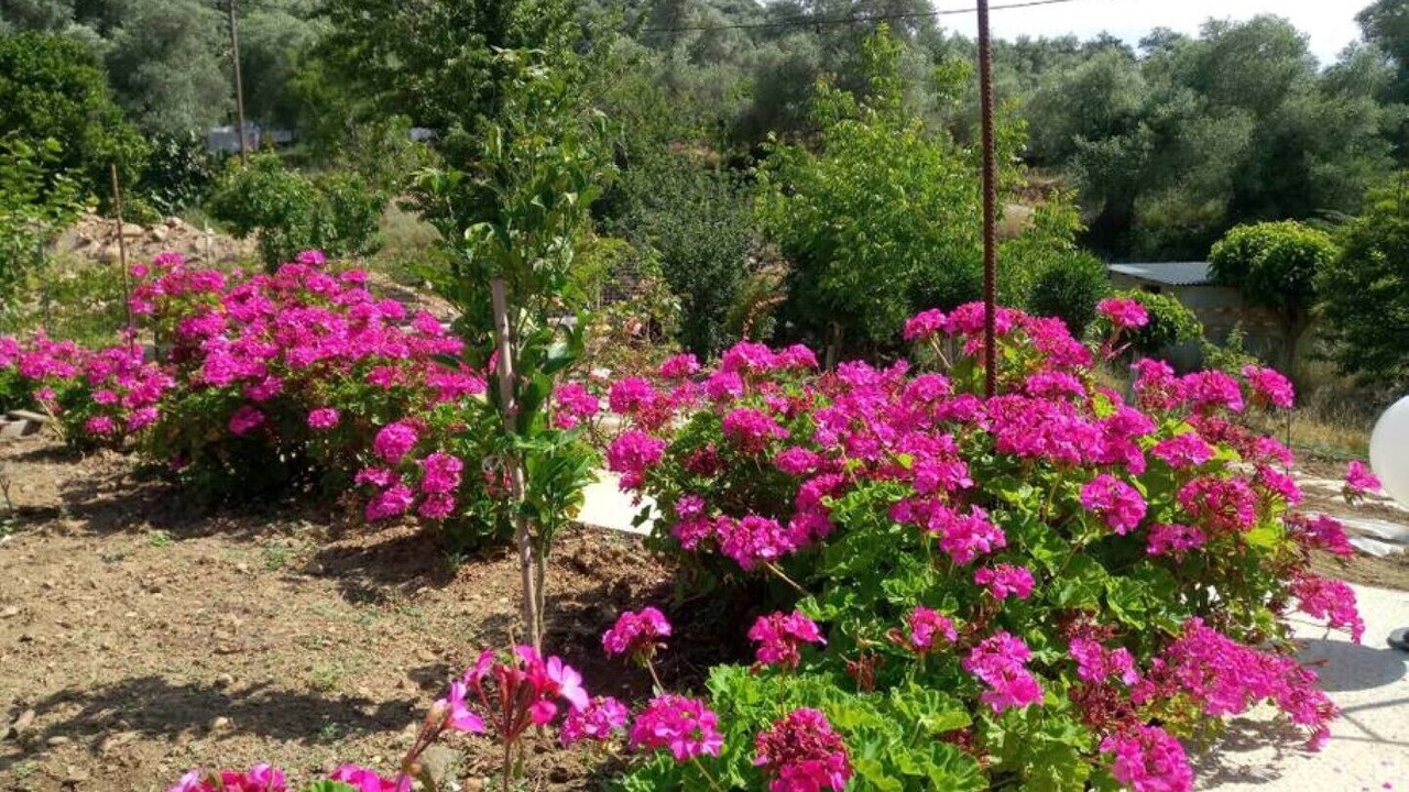 Photo of Outdoor in Dhris