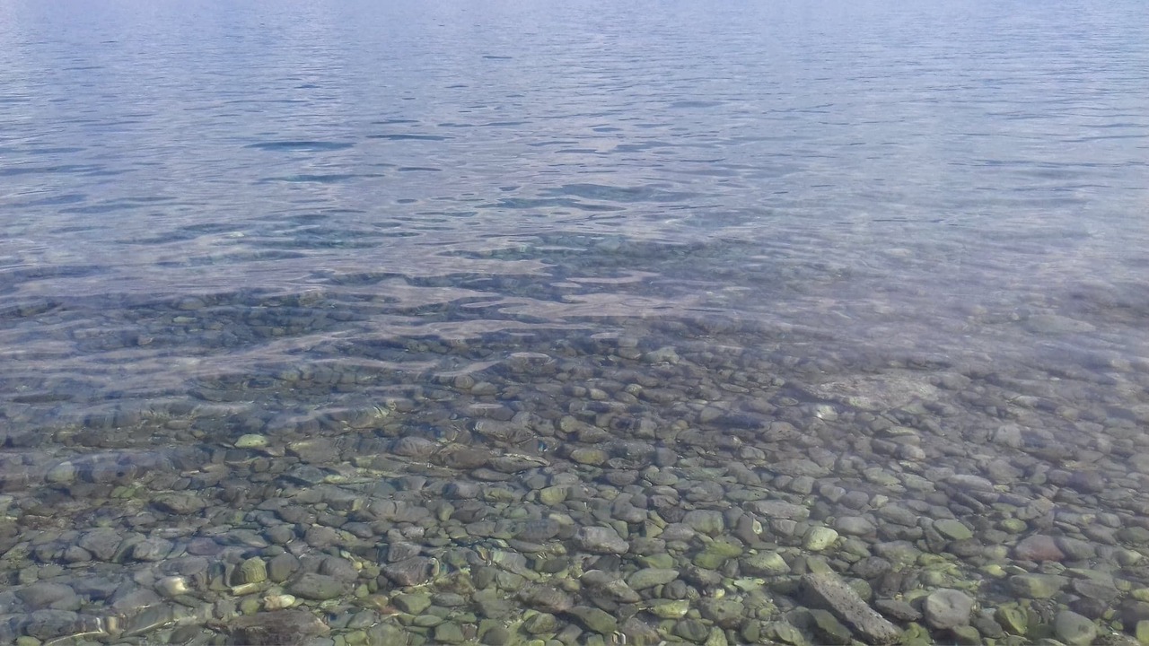 Photo of Others in Psathopirgos
