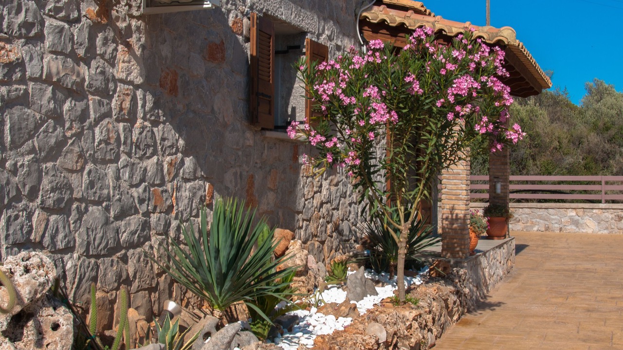 Photo of Outdoor in Melissopetra