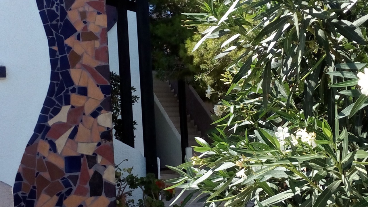 Photo of Outdoor in Koutsounari