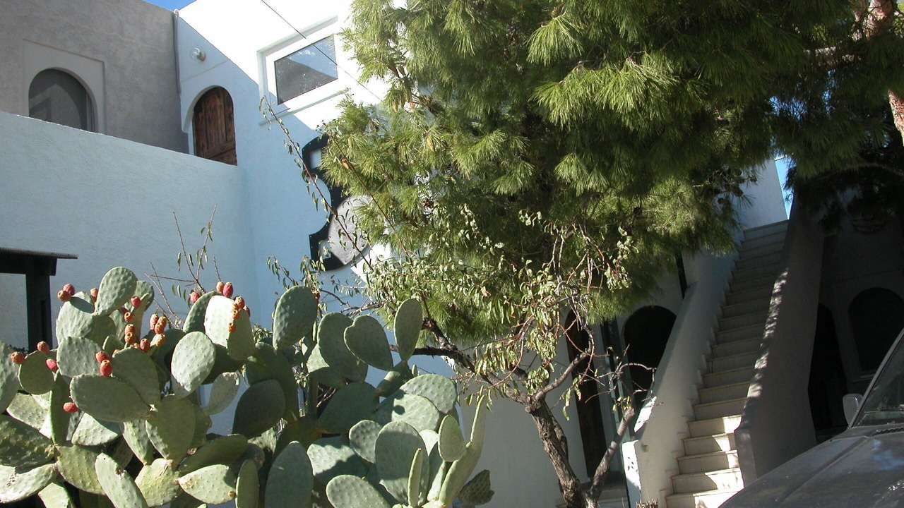 Photo of Outdoor in Koutsounari