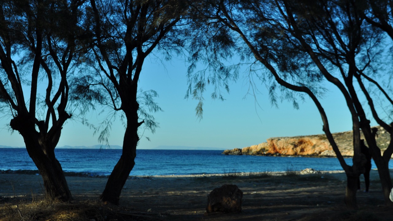 Photo of Others in Parasporos