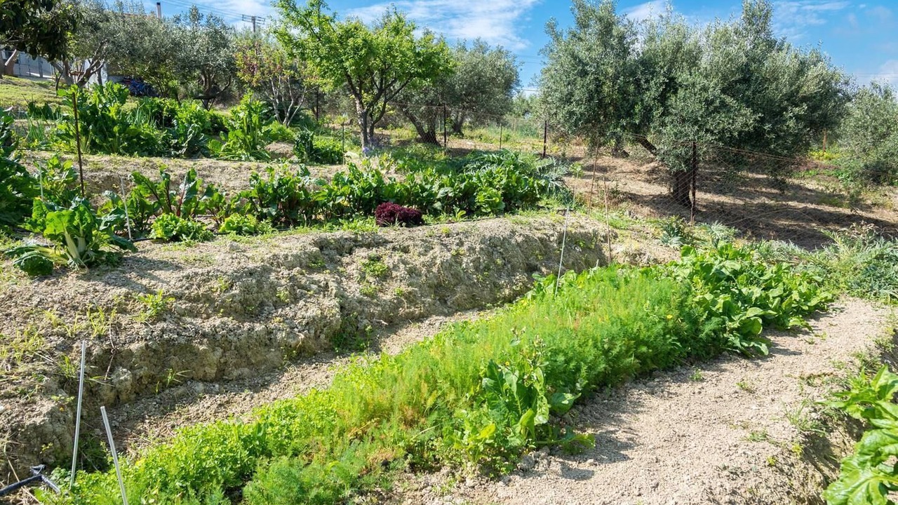 Photo of Outdoor in Marathitis