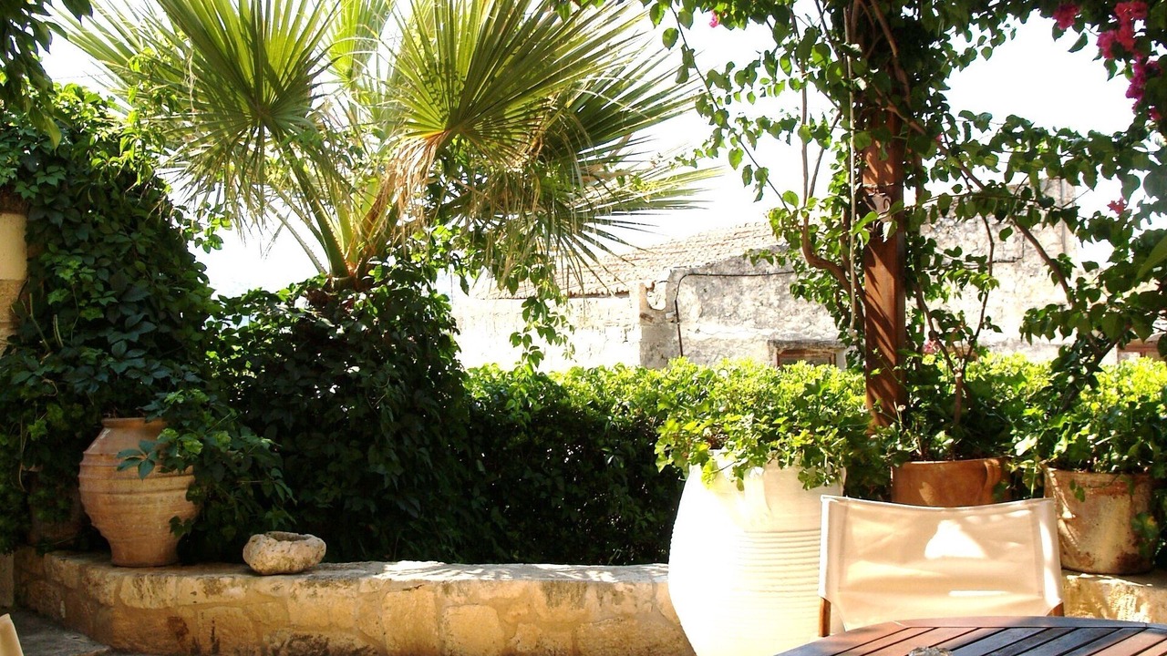 Photo of Outdoor in Gouves