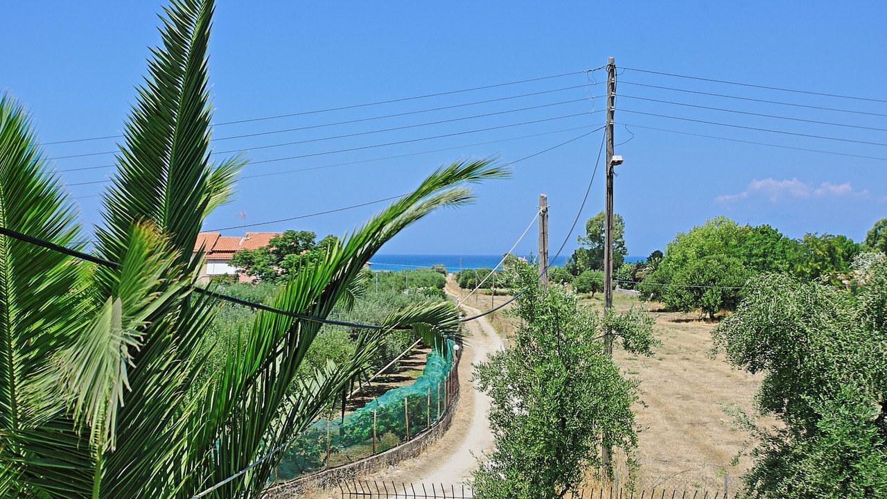 Photo of Others in Almiros Beach