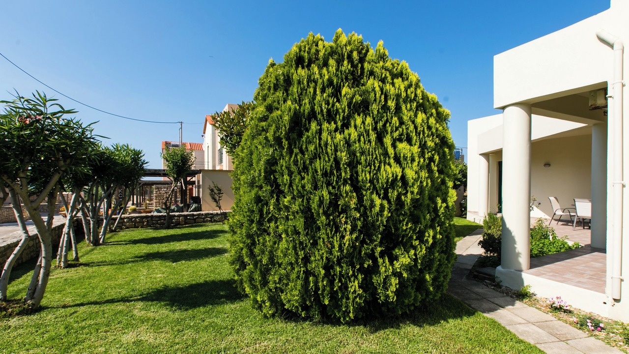 Photo of Outdoor in Asprouliani