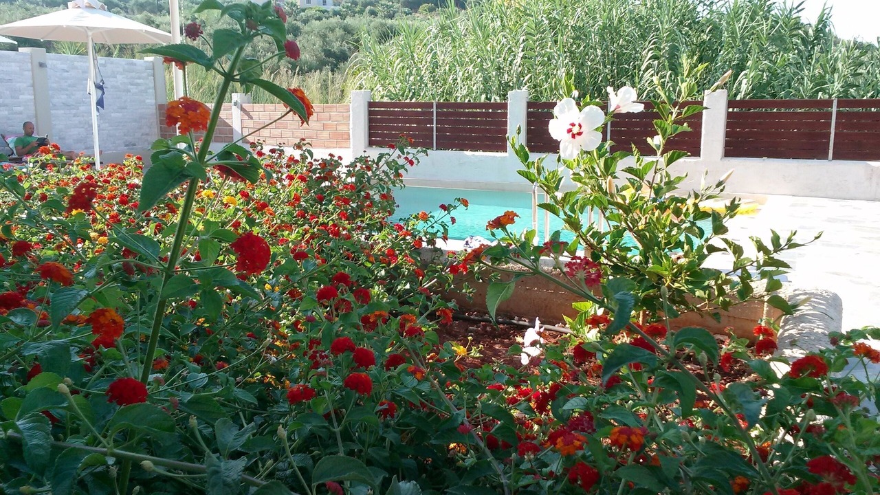 Photo of Outdoor in Kalyves