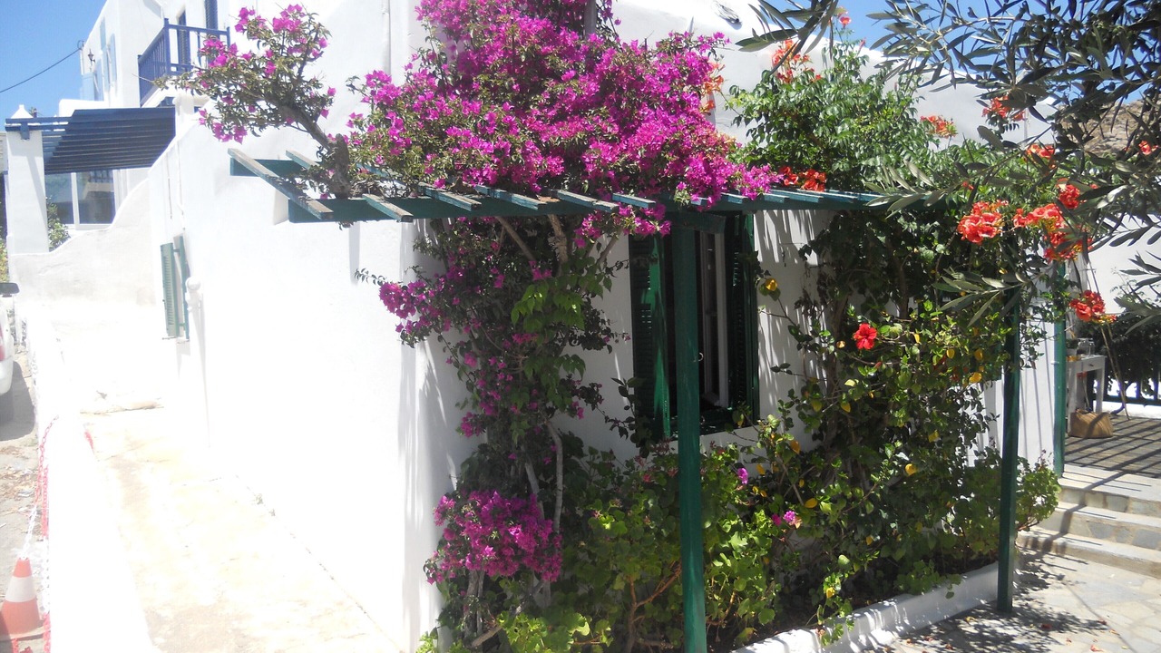 Photo of Outdoor in Platis Gialos